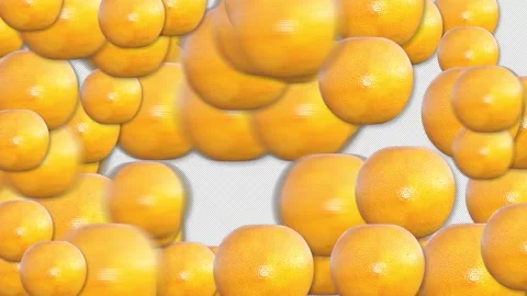 Grapefruit transition animation With Alpha Channel Stock Footage 235602917