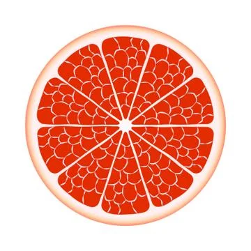 Grapefruit. Vector EPS10 Stock Illustration