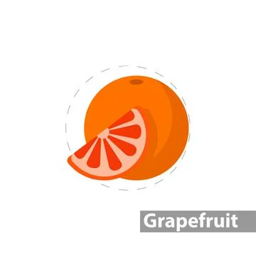 Grapefruit vector flat illustration icon Stock Illustration