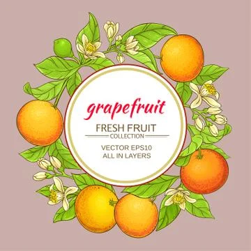 Grapefruit vector frame Stock Illustration
