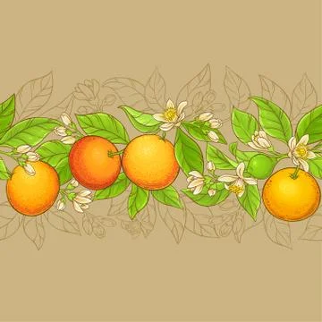 Grapefruit vector pattern Stock Illustration