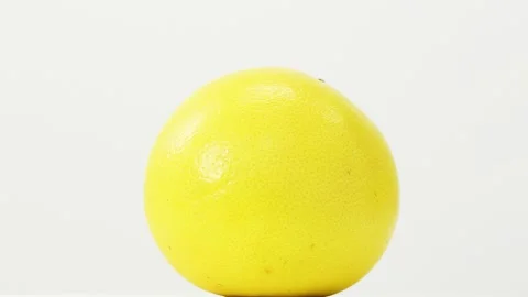 The grapefruit on the white background Stock Footage 91799261