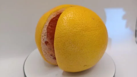 Grapefruit on a white background Stock Footage 331887669