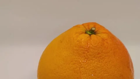 Grapefruit on white Stock Footage 330969843