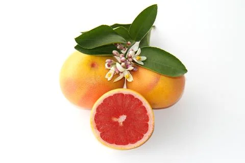 Grapefruits isolated on white 库存照片