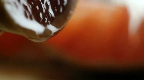 Grapefuit Stockbeeldmateriaal 22428795