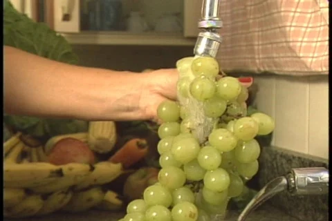 Grapes - 005150010 库存影片 845765
