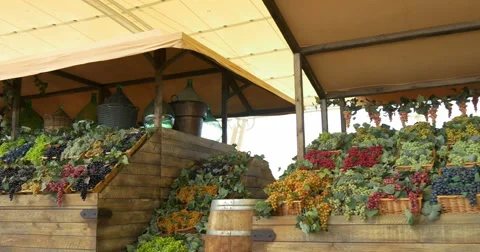 Grapes and barre Video stock 52807082