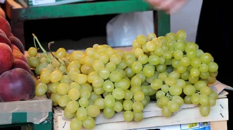 Grapes and hands Video stock 12207146