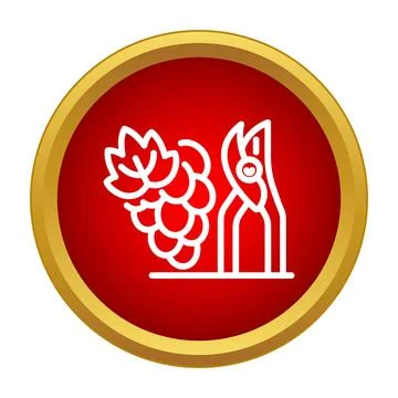 Grapes and pruning shears icon for winemaking harvest Stock Illustration