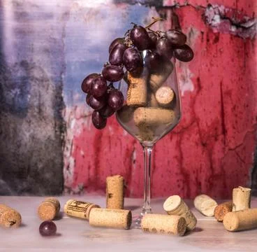 Grapes are a non-climacteric type of fruit Stock Photos