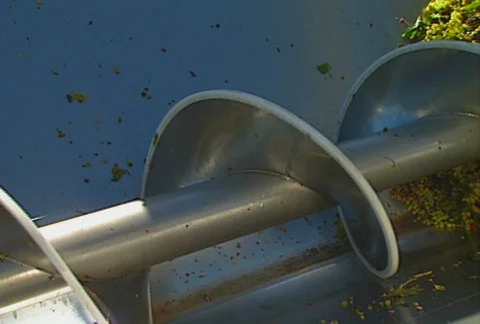 Grapes auger 01 Stock Footage 621296