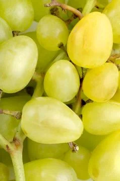 Grapes background Stock Photos