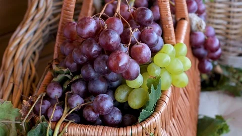 Grapes in a basket Vidéo 117468086