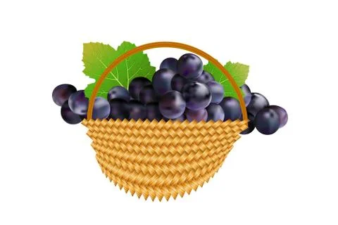 Grapes in basket isolated on white background. Stock Illustration