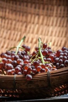 Grapes in a basket Stock Photos