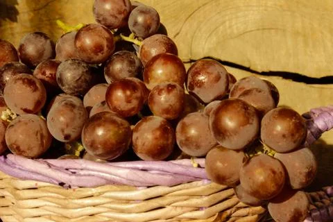 Grapes in a basket Stock Photos