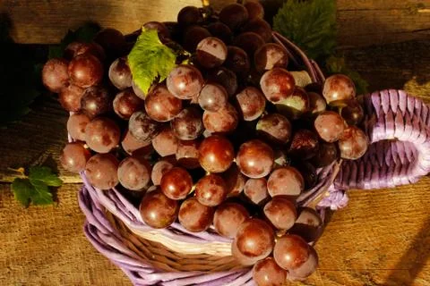 Grapes in a basket Stock Photos