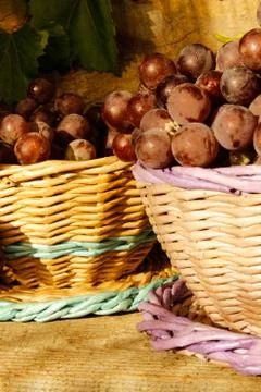 Grapes in a basket Stock Photos