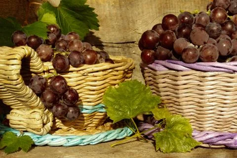 Grapes in a basket Stock Photos