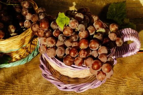 Grapes in a basket Stock Photos