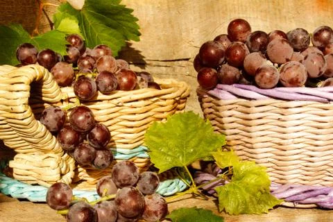 Grapes in a basket Stock Photos