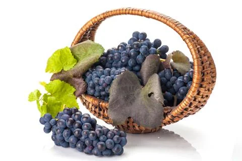 Grapes in basket Stock-Fotos