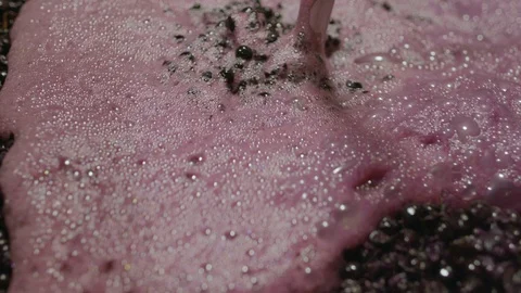 Grapes being crushed in a big containers Stock Footage 87805456