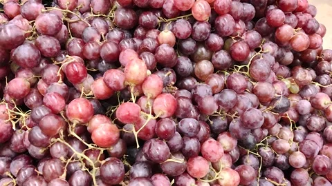 Grapes in a box Stock Footage 258822948