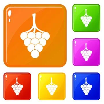 Grapes on the branch icons set vector color Stock Illustration