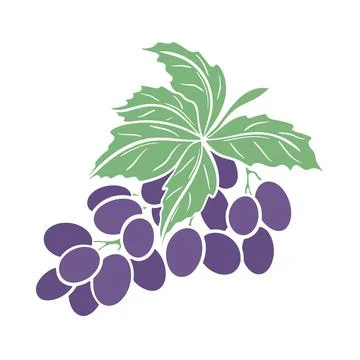Grapes branch isolated vector illustration Stock Illustration
