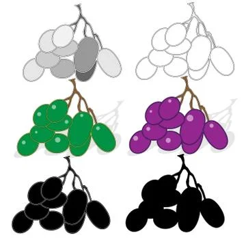 Grapes bunch isolated on white background Stock Illustration
