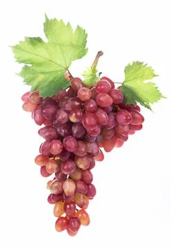 Grapes bunch isolated on the white background. Stock Photos