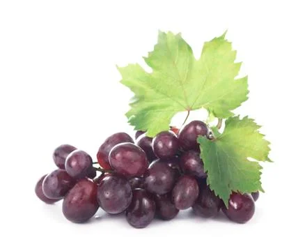 Grapes bunch Stock Photos