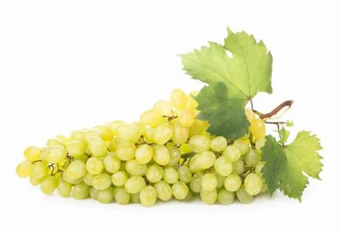 Grapes bunch Stock-Fotos