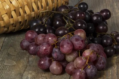 Grapes bunch Stock Photos