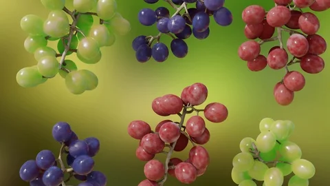 Grapes Bunches Slowly tumbling in a Loop Vídeos de archivo 110362197