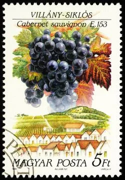 Grapes Cabernet Sauvignon on postage stamp Stock Photos