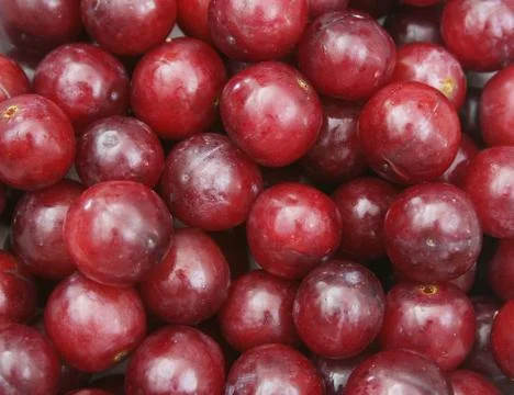 Grapes close up Stock Photos