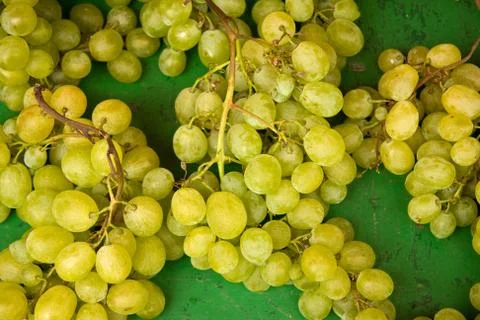 Grapes close up Stock Photos