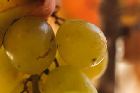 Grapes close up Stock Photos