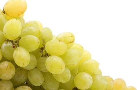 Grapes closeup Stock Photos