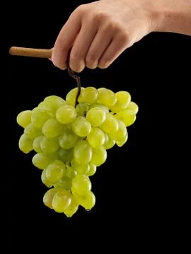 Grapes cluster Stock Photos