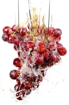 Grapes cluster in water splashes Stock Photos