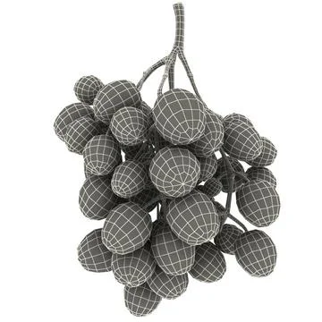 Grapes collection 3D Model