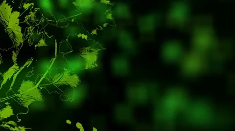 Grapes Contour Stock-Footage 20626093