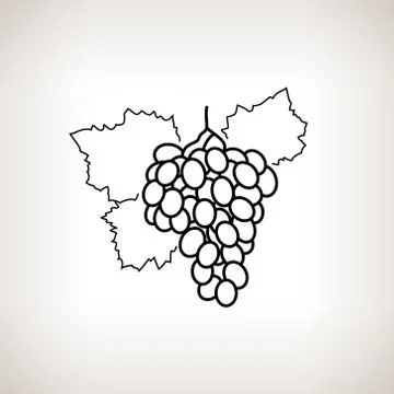 Grapes in the Contours イラスト素材
