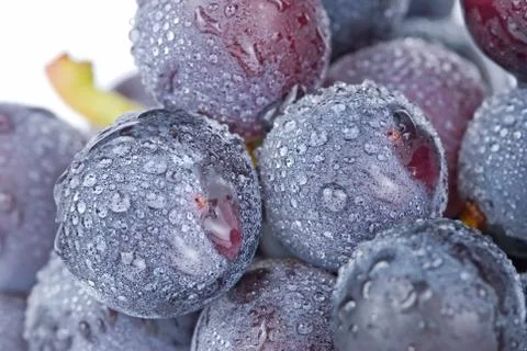 Grapes with drops, fruit. Stock Photos