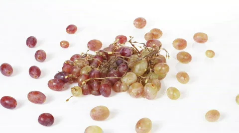 Grapes escapes  Stock Footage 534400