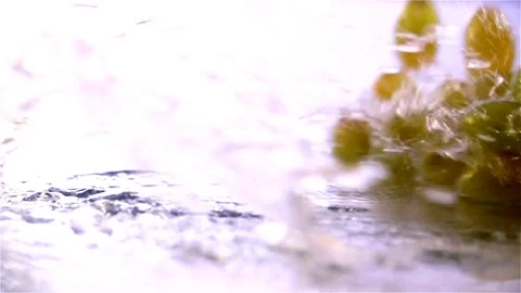 Grapes  falling in water Stock Footage 77076604